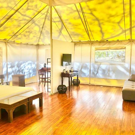 Hôtel Hyla Nature Retreat à San José Pinilla Extérieur photo
