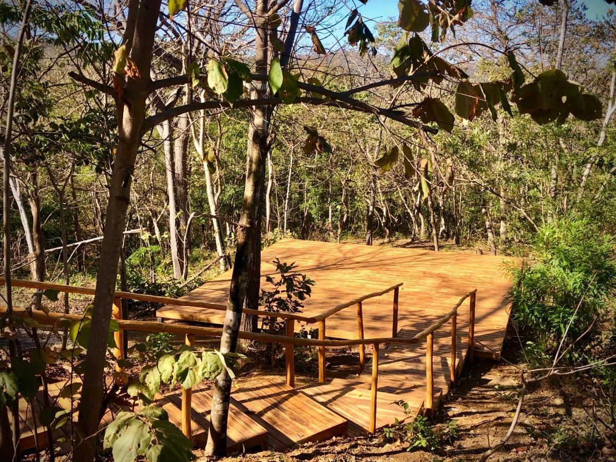 Hôtel Hyla Nature Retreat à San José Pinilla Extérieur photo