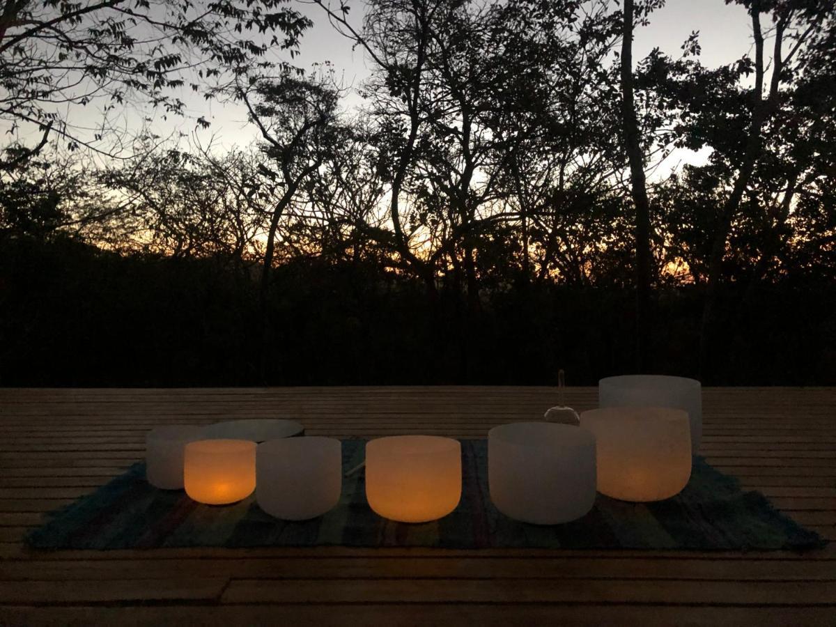 Hôtel Hyla Nature Retreat à San José Pinilla Extérieur photo