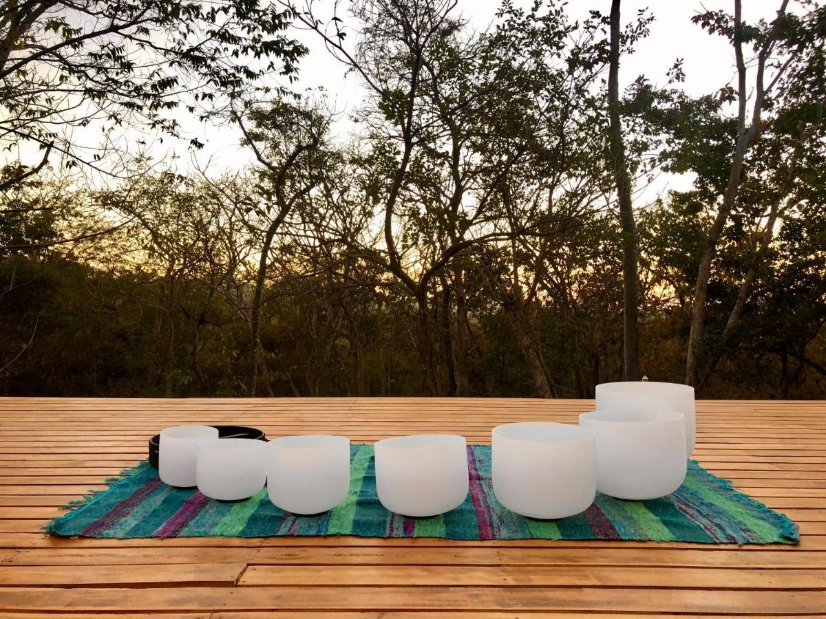 Hôtel Hyla Nature Retreat à San José Pinilla Extérieur photo