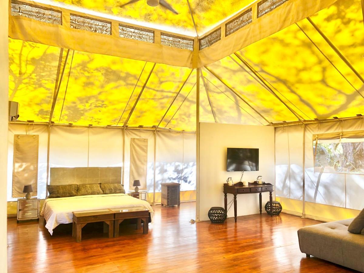 Hôtel Hyla Nature Retreat à San José Pinilla Extérieur photo