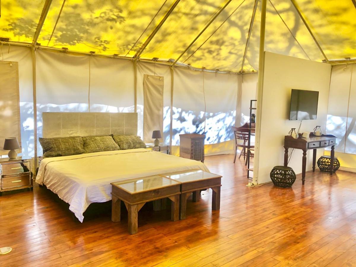 Hôtel Hyla Nature Retreat à San José Pinilla Extérieur photo