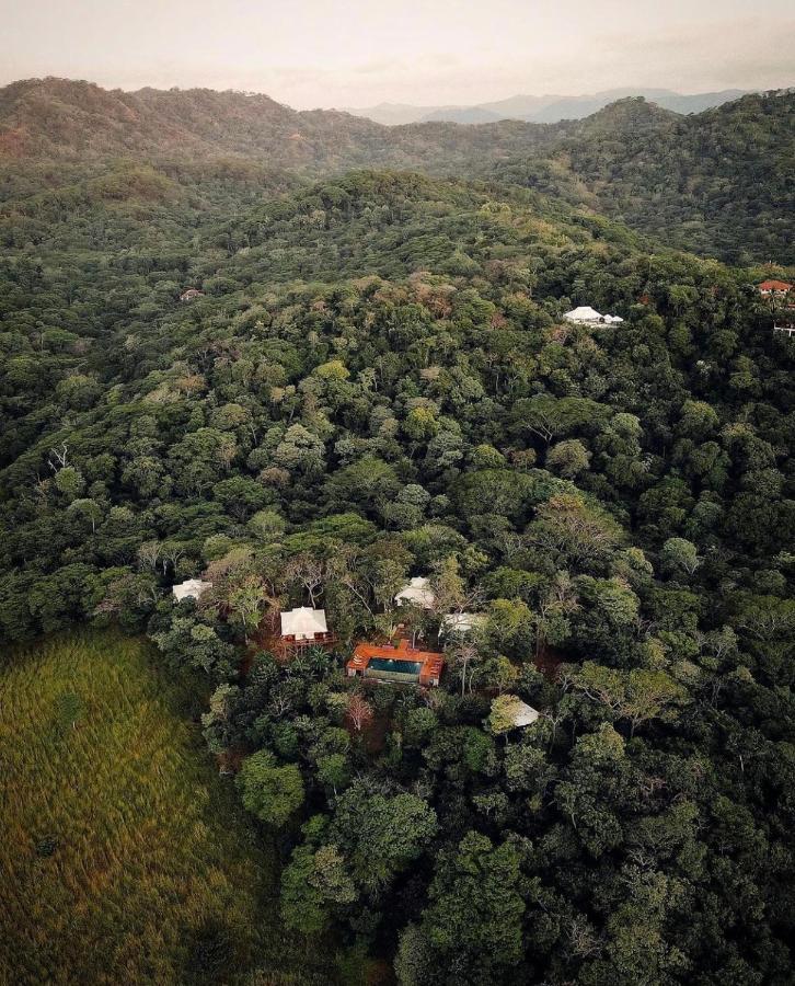 Hôtel Hyla Nature Retreat à San José Pinilla Extérieur photo